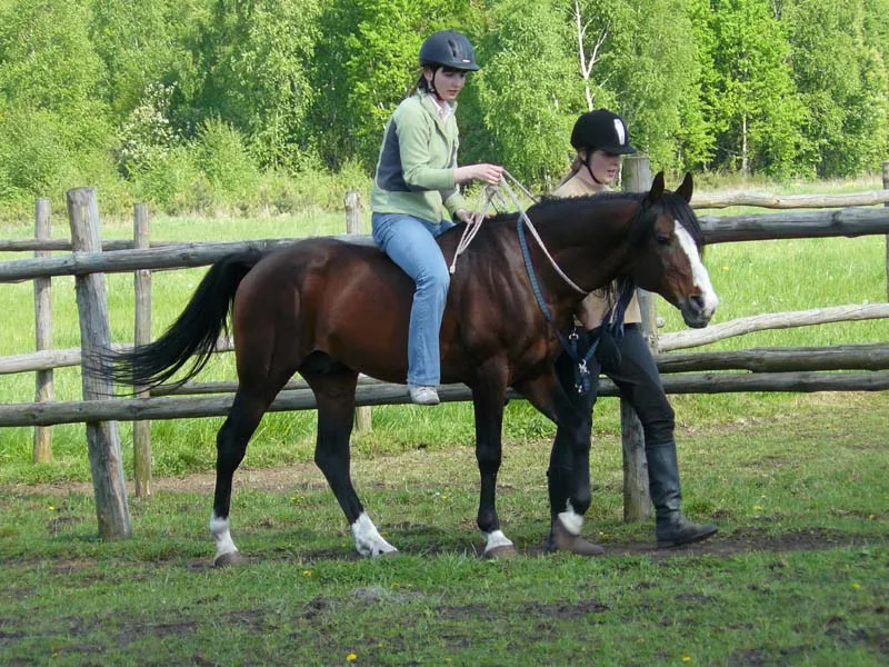 Trening naturalnego jeździectwa